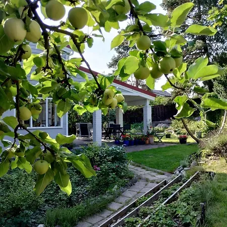 Huone Lintukodossa * Helsinki